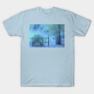 The Gate Is Open T-Shirt